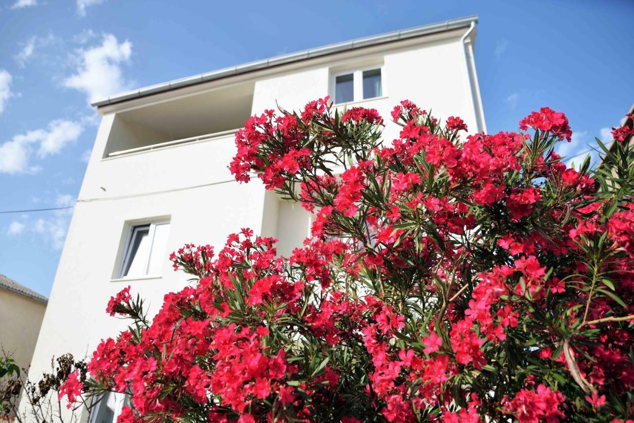 Apartments Enida بيتينا المظهر الخارجي الصورة