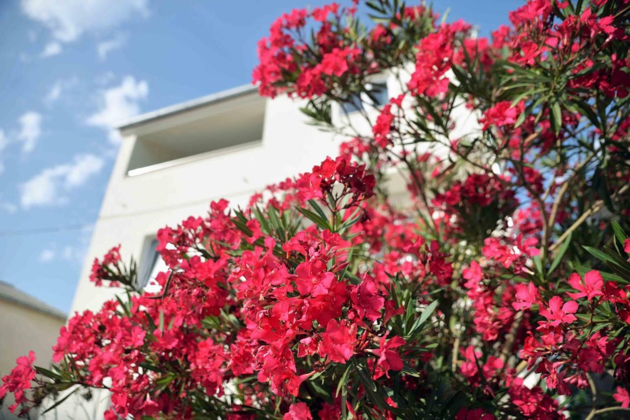 Apartments Enida بيتينا المظهر الخارجي الصورة